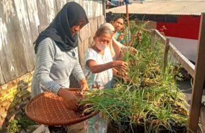 Pemkot Batu Bidik Desa Torongrejo Menjadi Kawasan Sentra Bawang Merah