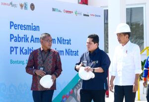 Presiden Jokowi Tekankan Kemandirian Pangan di Tengah Krisis Global