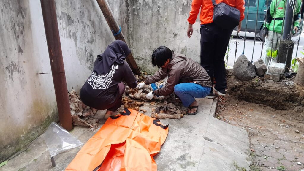 Kerangka Manusia yang Ditemukan Depan Ruko Malang, Polisi Sebut Berjenis Perempuan