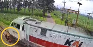 Pengendara Sepeda Listrik Tertabrak Kereta Api di Malang, Terseret hingga 50 Meter dan Tewas di Tempat