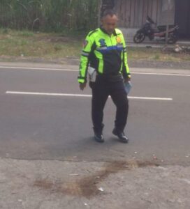 Pulang Cari Rumput, Petani di Pagelaran Tabrakan vs Kawasaki Ninja Berujung Meninggal di RS