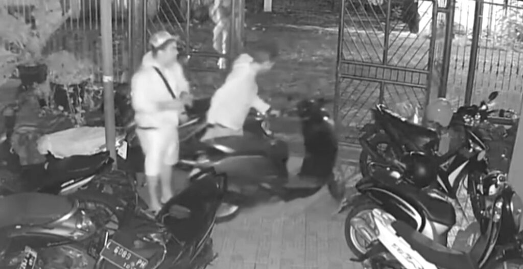 Dua Motor Tamu di Rumah Kost Sigura-Gura Malang Diembat Maling
