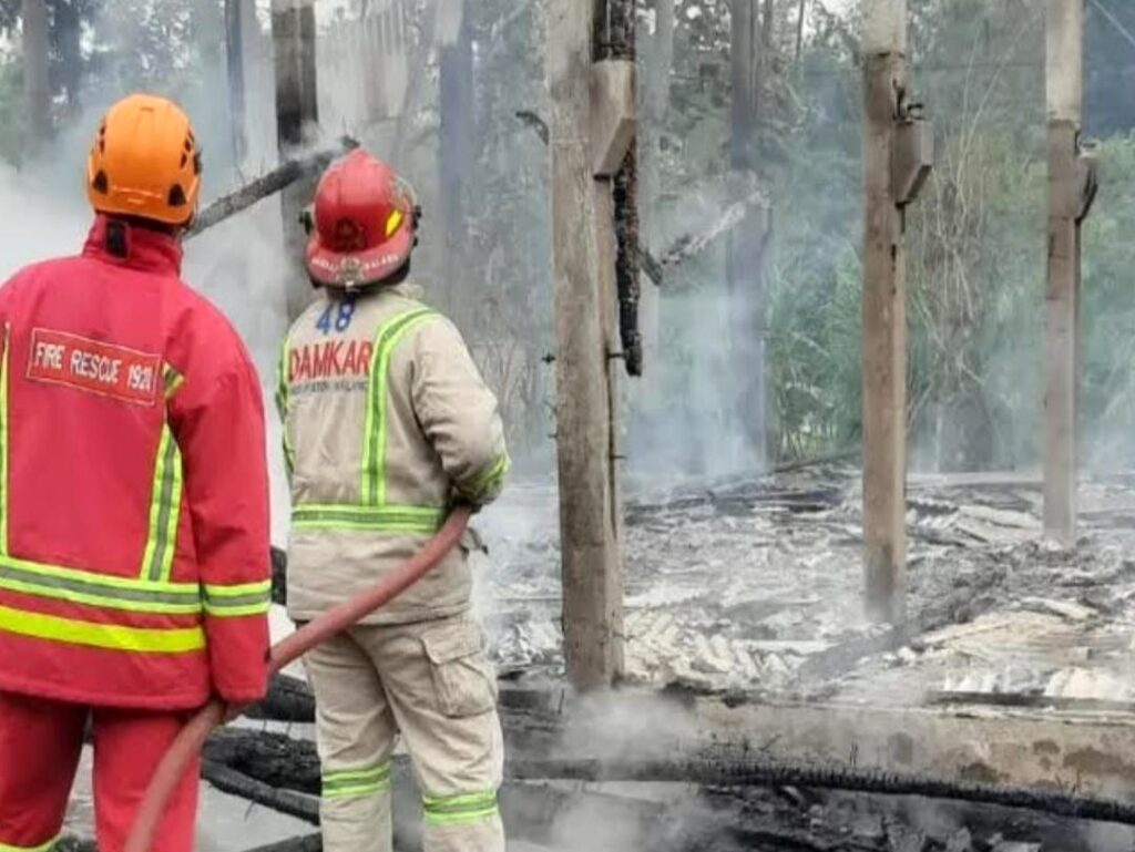 Gara-Gara Oven Penghangat, Kandang Ayam di Wajak Malang Ludes Terbakar, Pemilik Rugi Ratusan Juta