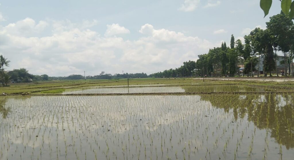 Petani Milenial di Kota Batu Tak Capai 10 Persen, Dikhawatirkan Terus Menurun