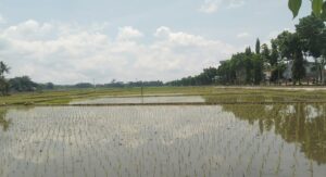 Petani Milenial di Kota Batu Tak Capai 10 Persen, Dikhawatirkan Terus Menurun