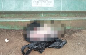 Mayat Bayi Terbungkus Kantong Plastik Hitam Ditemukan Warga di TPU Ngajum Malang