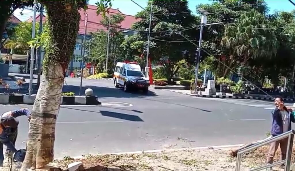 Percantik Pedestrian, DPUPR Kota Batu Ganti Pohon Beringin dengan Tabebuya di Jalan Pangsud