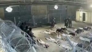 Vidio Dugaan Pelecehan Seksual Terhadap Tahanan Palestina oleh Tentara IDF Picu Kemarahan Global