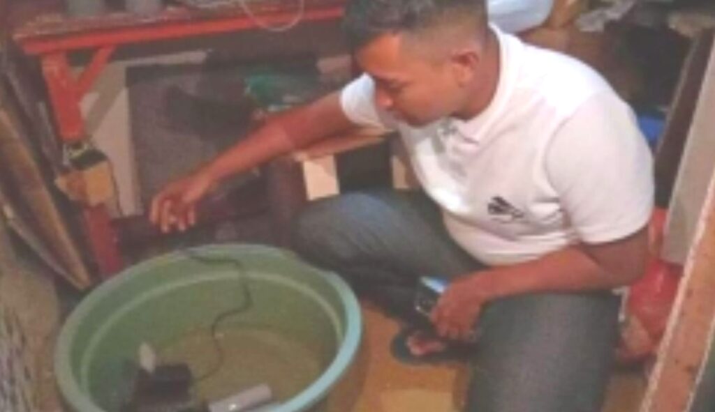 Mahasiswi Tak Bayar Kos 2 Bulan, Pemilik Kos Malah Temukan Kolam Lobster di Kamar