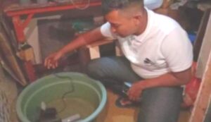 Mahasiswi Tak Bayar Kos 2 Bulan, Pemilik Kos Malah Temukan Kolam Lobster di Kamar