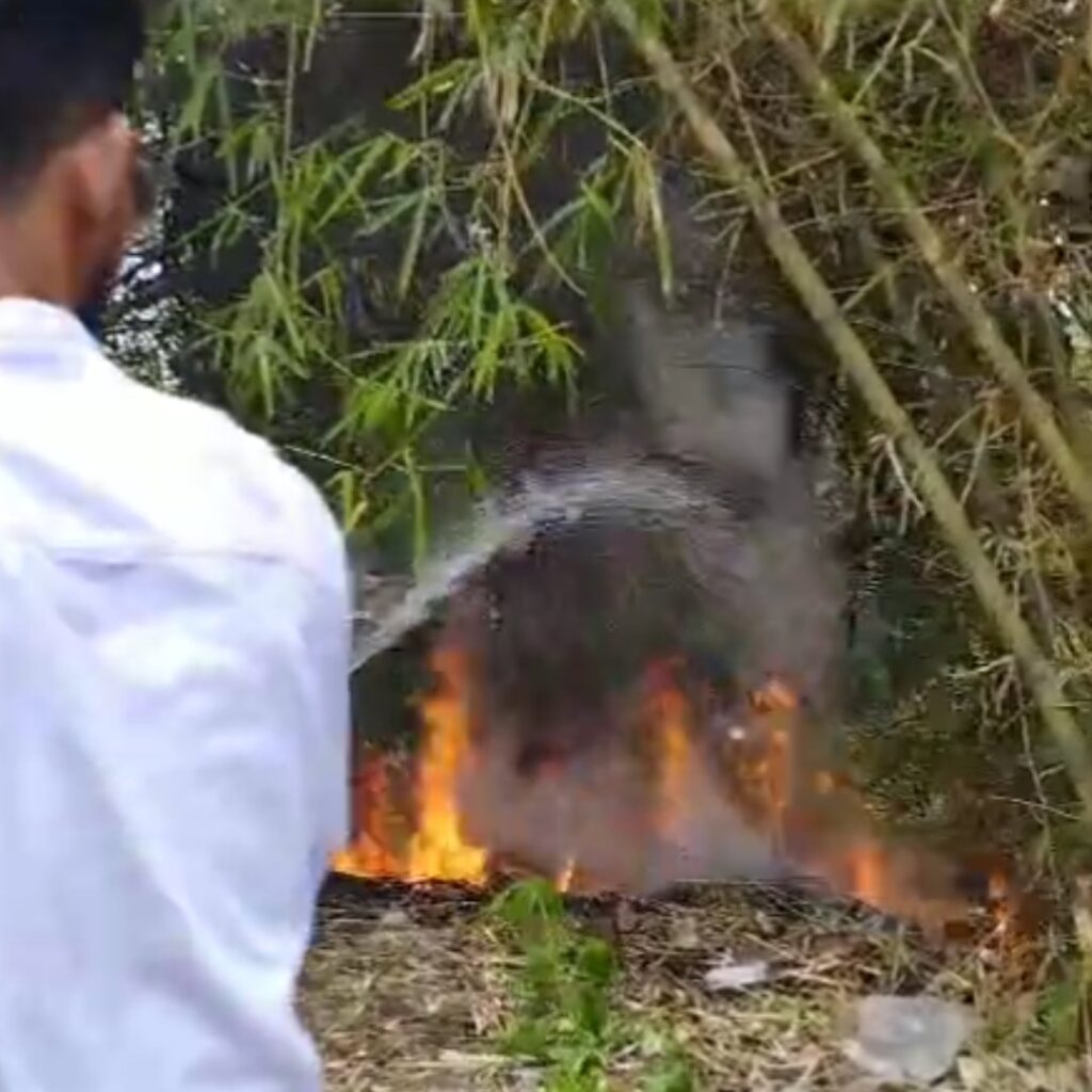 Panik Kebun Bambu Terbakar, Warga Lapor ke Damkar