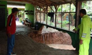 Tanah Amblas Akibat Hujan, Enam Rumah di Donomulyo Kabupaten Malang Alami Kerusakan