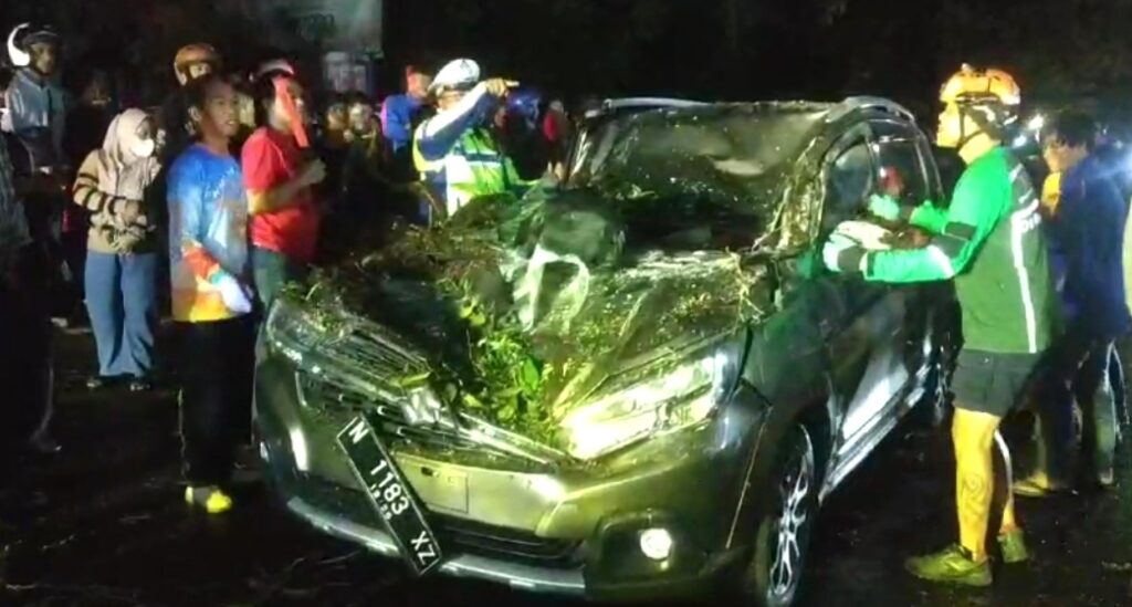 Pohon Tumbang Telan Dua Nyawa dan Sebabkan Kemacetan Lalu Lintas di Singosari Malang