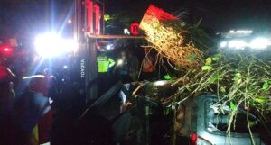 Tragedi Pohon Tumbang di Singosari Malang, Identitas Korban Terungkap