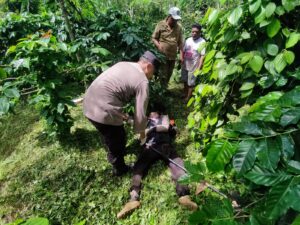 Sakit Jantung, Seorang Petani Ditemukan Meninggal di Areal Kebun Kopi Wonosari Malang