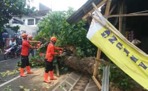 Pohon Setinggi 5 Meter Tumbang Menimpa Warung Kopi di Malang