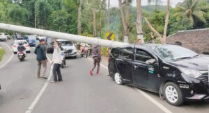 Bak Seperti Banteng, Toyota Calya Sruduk Tiang Listrik hingga Roboh di Ngantang Malang