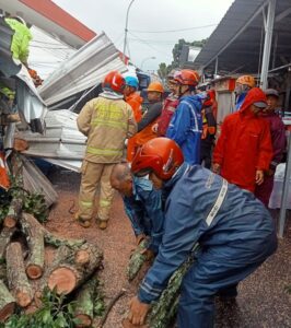 Hujan Disertai Angin Kencang Akibatkan Pohon Tumbang dan Longsor di Kawasan Kota Batu