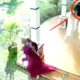 Video aksi pejambretan yang terekam CCTV terhadap salah satu warga saat momen Idulfitri beredar luas di Malang, Senin (31/3/2025).