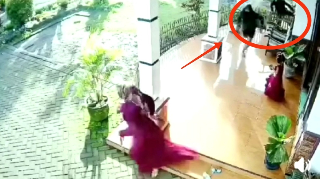 Video aksi pejambretan yang terekam CCTV terhadap salah satu warga saat momen Idulfitri beredar luas di Malang, Senin (31/3/2025).