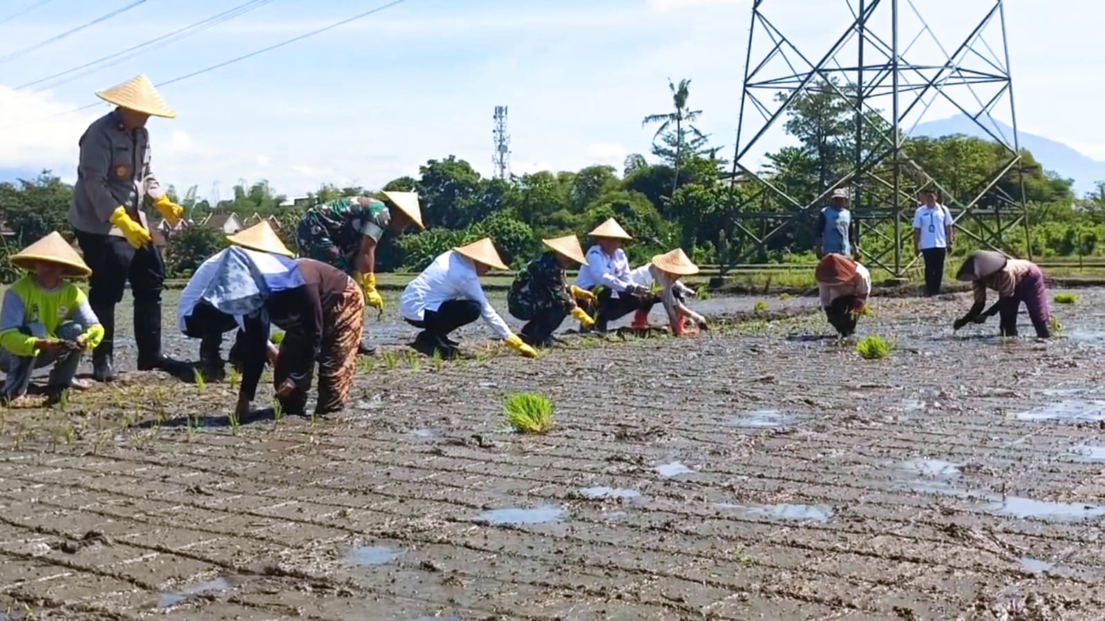Wali Kota Malang, Wahyu Hidayat, bersama Forkopimda Kota Malang, mengikuti agenda Presiden RI, Prabowo Subianto, melakukan Gerakan Tanam Padi serentak yang diadakan di 14 provinsi, 157 kota/kabupaten, melalui zoom meeting, Rabu (23/04/2025).