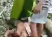 Tertimpa Pohon Tua Saat Pulang dari Kebun, Warga Wajak Tewas di Tempat