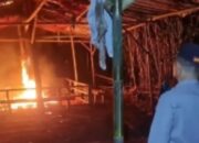 Polres Malang Gerebek Arena Sabung Ayam di Karangploso, Puluhan Motor dan Ayam Diamankan