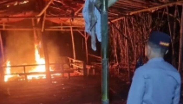 Polres Malang Gerebek Arena Sabung Ayam di Karangploso, Puluhan Motor dan Ayam Diamankan