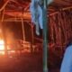 Aparat Kepolisian Resor (Polres) Malang, Polda Jawa Timur, menggerebek arena perjudian sabung ayam di Dusun Kubung, Desa Ngenep, Kecamatan Karangploso, Kabupaten Malang, Minggu (25/5/2025) sore.