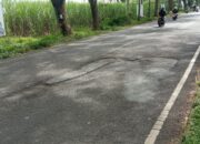 Jalan berlubang di Jalan Raya Ir Soekarno atau Jalibar yang masuk di wilayah Kecamatan Kepanjen, Kabupaten Malang telah banyak memakan korban.