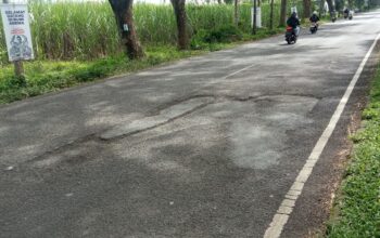 Jalan berlubang di Jalan Raya Ir Soekarno atau Jalibar yang masuk di wilayah Kecamatan Kepanjen, Kabupaten Malang telah banyak memakan korban.