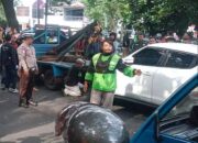 Polisi beberkan kronologi insiden tabrak lari mobil Nissan Juke bernopol L 1902 FL, di Jalan Sukarno Hatta (Suhat), Kota Malang, Kamis (1/5/2025), sekitar pukul 14.00 WIB, siang tadi.