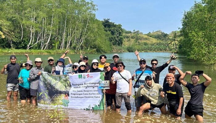 Kurangi Emisi Karbon, FISIP UNIRA Malang Tanam Mangrove di Pesisir