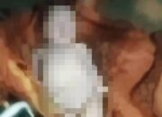Geger, Mayat Bayi Ditemukan dalam Tas Kresek Biru di Pos Jalan Tanjakan Pletes Sumawe