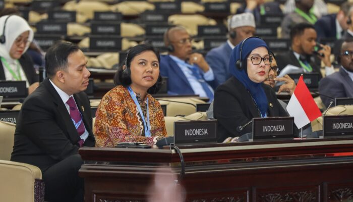 PUIC Dorong Resolusi Kemerdekaan Palestina, Indonesia Pimpin Forum Strategis