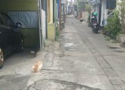 Teror Kematian Misterius Belasan Kucing Resahkan Warga Bunulrejo Kota Malang