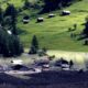 Resiko Banjir Meningkat di Blatten, Swiss setelah Runtuhnya Gletser Birch