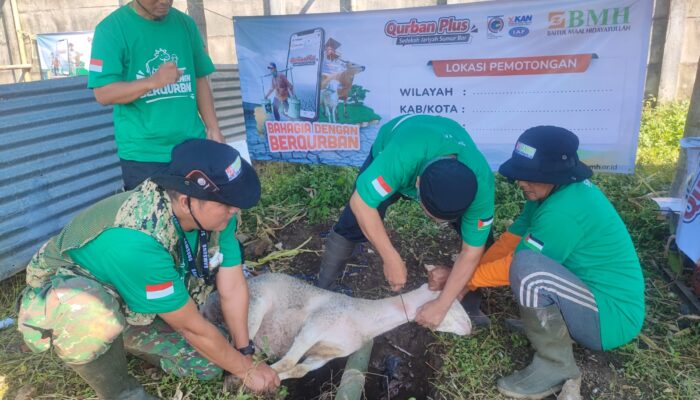 Ratusan Hewan Kurban Disalurkan BMH Malang untuk Masyarakat