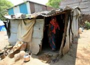Bunuh diri di kalangan petani telah lama menjadi isu serius di India, dan kini cuaca ekstrem yang diperburuk oleh perubahan iklim semakin meningkatkan risiko tersebut. Hasil panen menurun drastis akibat suhu tinggi, curah hujan yang tidak menentu, banjir, serta kekeringan. Semua ini terjadi di sektor pertanian yang mempekerjakan sekitar 45 persen dari 1,4 miliar penduduk India.
