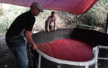 Polres Malang Bongkar Sarana Judi Sabung Ayam Usai Laporan Masuk ke Call Center 110