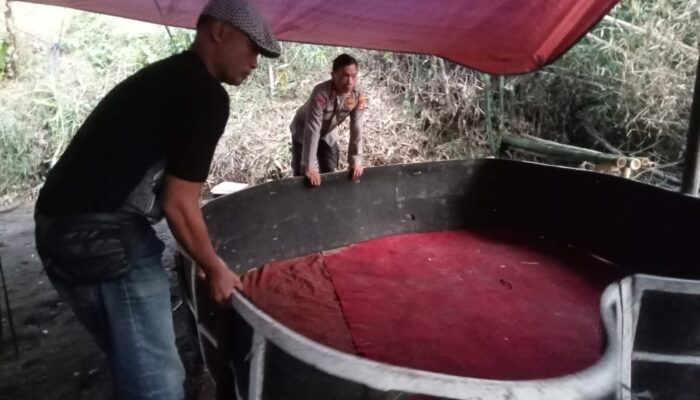 Polres Malang Bongkar Sarana Judi Sabung Ayam Usai Laporan Masuk ke Call Center 110