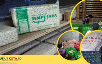 Tempe Java, Berawal dari Lelah Merantau, Bibin Raup Rp 60 Juta per Bulan