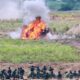 TNI AU Unjuk Kekuatan di Langit Kalimantan Selatan, Komandan Lanud Abd Saleh Saksikan Langsung Latihan Tempur Sikatan Daya 2025