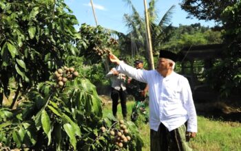 Bupati Malang, Drs. H. M. Sanusi, M.M., bersama Ketua TP PKK Kabupaten Malang, Hj. Anis Zaida Sanusi, dan didampingi oleh Pj. Sekretaris Daerah Kabupaten Malang, melakukan kunjungan kerja ke Desa Pondokagung, Kecamatan Kasembon, pada Minggu (01/06/2025) pagi.