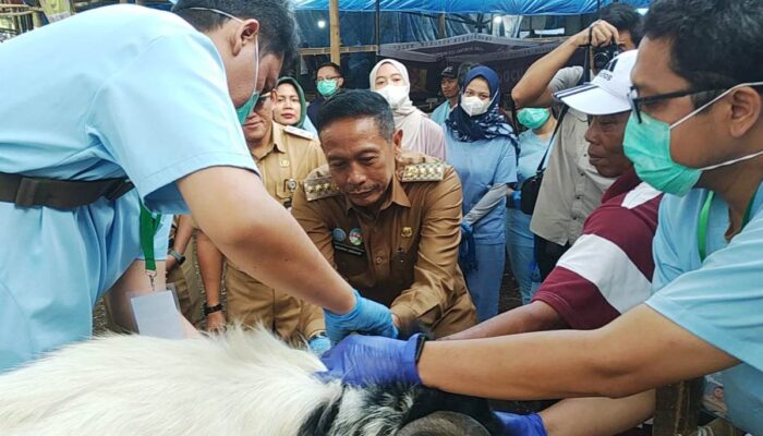 Wali Kota Malang Cek Kesehatan Hewan Kurban di Sawojajar