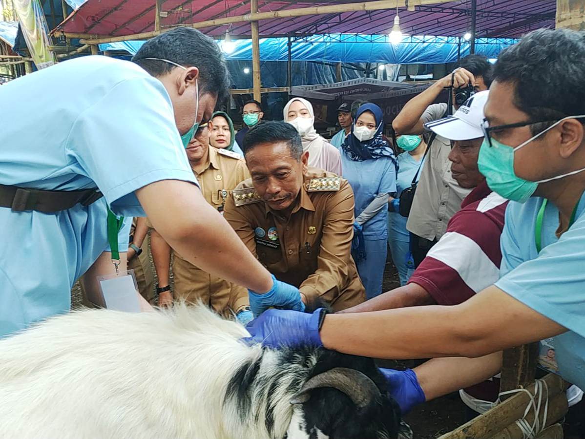 Jelang Iduladha, Wali Kota Malang Cek Kesehatan Hewan Kurban di Sawojajar