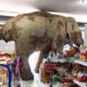 Seekor gajah liar yang kelaparan menjadi pusat perhatian di Thailand saat ia tiba-tiba muncul di sebuah toko kelontong dekat Taman Nasional Khao Yai, Timur Laut Thailand pada Senin (02/06).