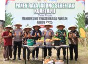 Polres Malang Panen Raya Jagung Serentak, Dukung Ketahanan Pangan Nasional