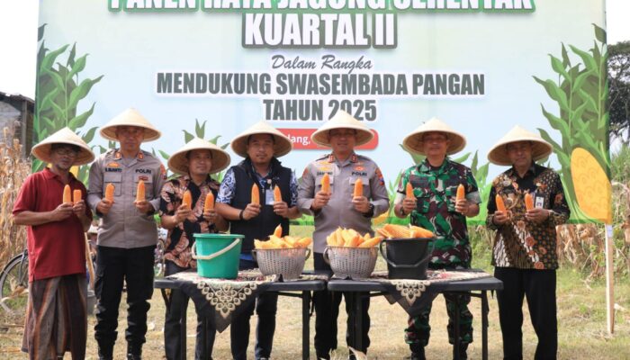 Polres Malang Panen Raya Jagung Serentak, Dukung Ketahanan Pangan Nasional
