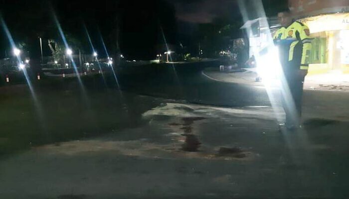 Kecelakaan Adu Banteng di Pagelaran Malang, Satu Tewas di Tempat, Satu di Rumah Sakit